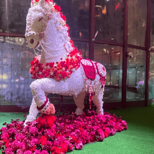 The Best Wedding Of India In 2024